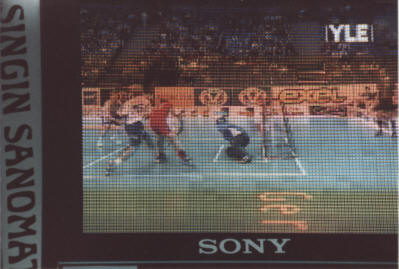 Der Weg zum Tor (abfotographiert vom Videow&uuml;rfel)